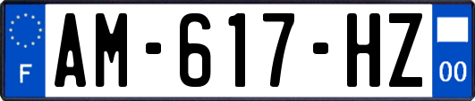 AM-617-HZ