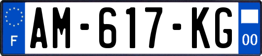 AM-617-KG