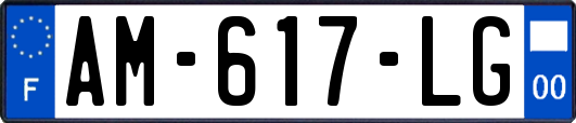 AM-617-LG
