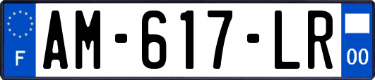 AM-617-LR