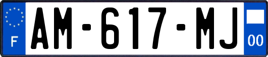 AM-617-MJ
