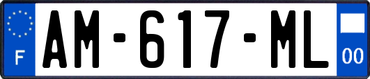 AM-617-ML