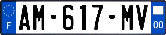 AM-617-MV
