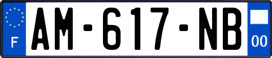 AM-617-NB