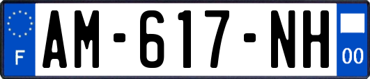 AM-617-NH