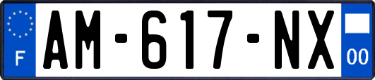 AM-617-NX