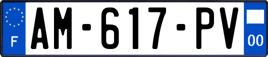 AM-617-PV