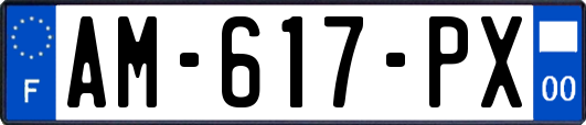 AM-617-PX