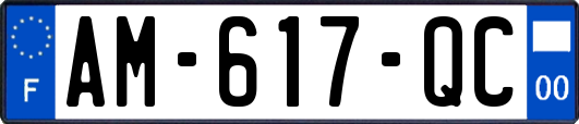 AM-617-QC