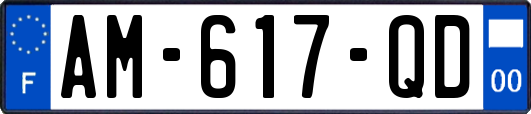 AM-617-QD