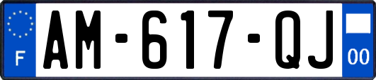 AM-617-QJ