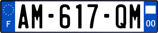 AM-617-QM
