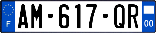 AM-617-QR