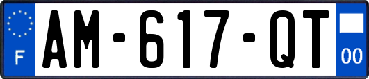 AM-617-QT
