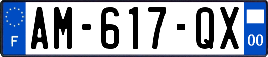 AM-617-QX