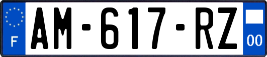 AM-617-RZ