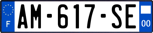 AM-617-SE