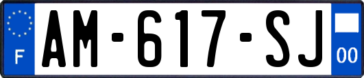 AM-617-SJ