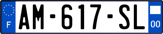 AM-617-SL