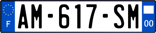 AM-617-SM