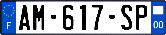 AM-617-SP