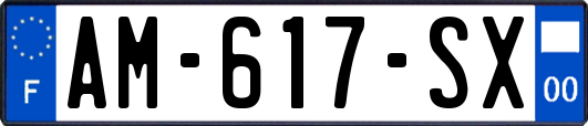 AM-617-SX