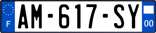 AM-617-SY