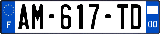 AM-617-TD