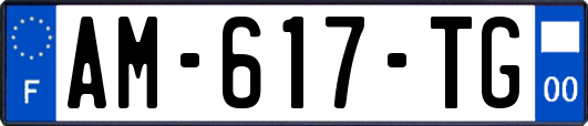AM-617-TG
