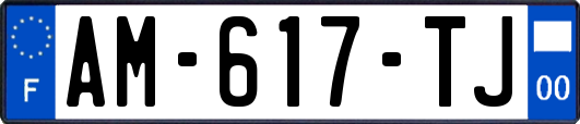 AM-617-TJ