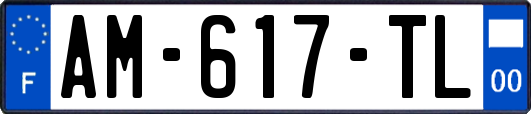 AM-617-TL