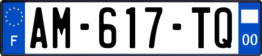 AM-617-TQ