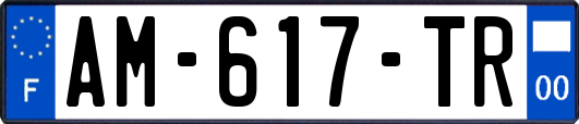 AM-617-TR