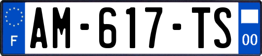 AM-617-TS