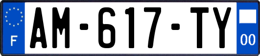 AM-617-TY