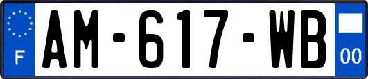 AM-617-WB