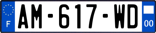 AM-617-WD