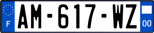 AM-617-WZ