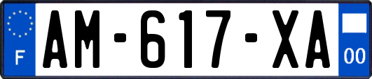 AM-617-XA