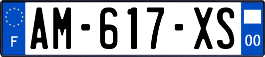 AM-617-XS