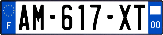 AM-617-XT