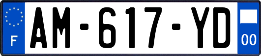 AM-617-YD