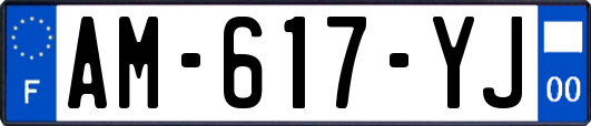 AM-617-YJ