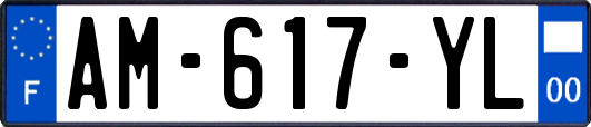 AM-617-YL