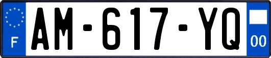 AM-617-YQ