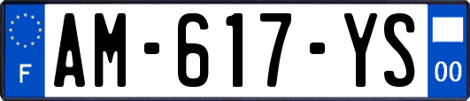 AM-617-YS