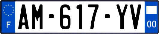 AM-617-YV
