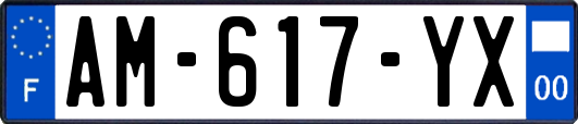 AM-617-YX