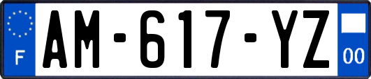 AM-617-YZ