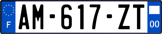 AM-617-ZT